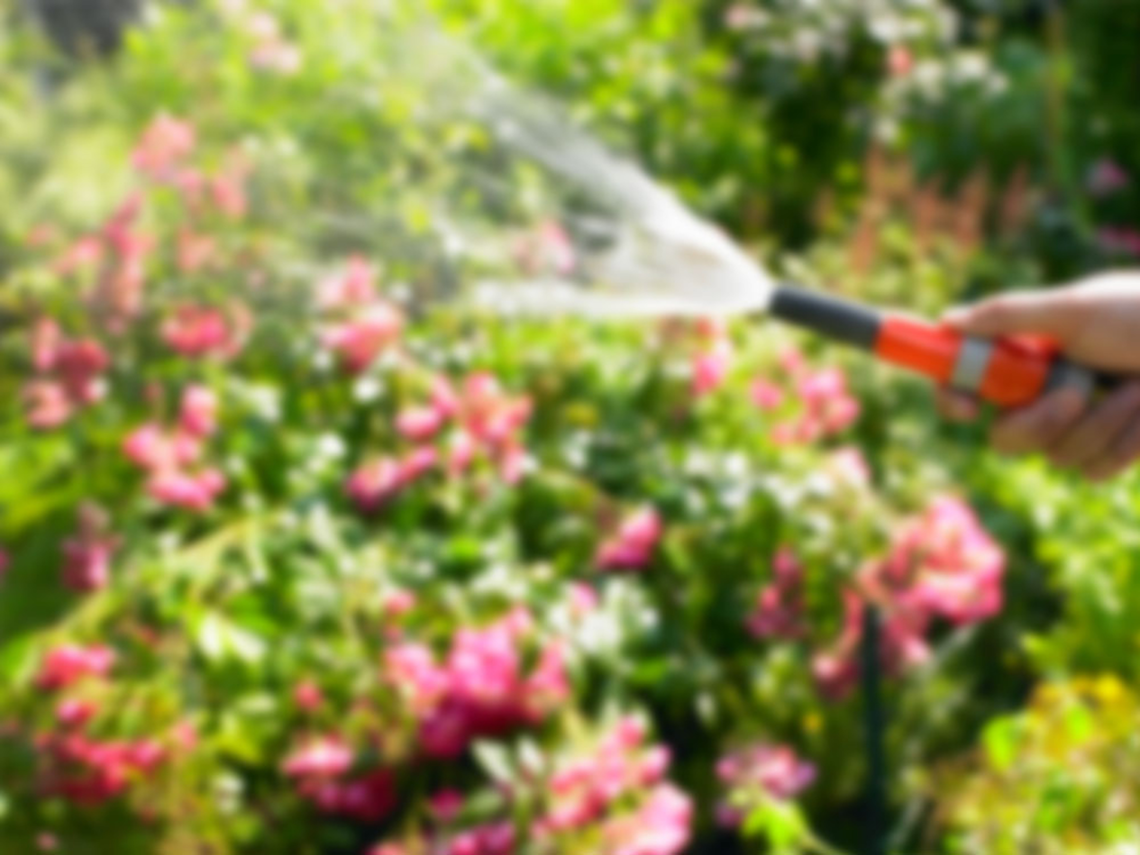 Regen&shy;wasser&shy;nutzung bei Elektrotechnik Schimpl in Buttenheim